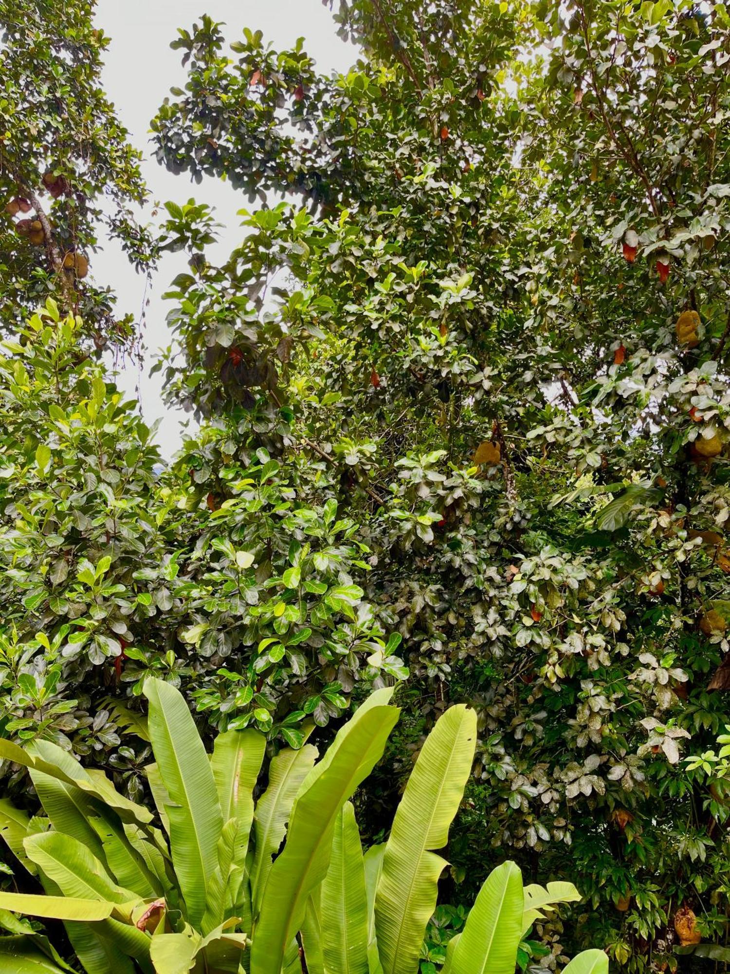 Pousada Picinguaba Bilik gambar